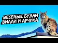 Игры кота Вилли и прыжок Арчика