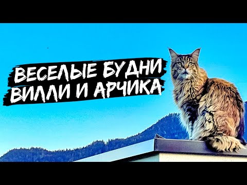 Video: „Paskolintas Gyvenimas“: Santrauka