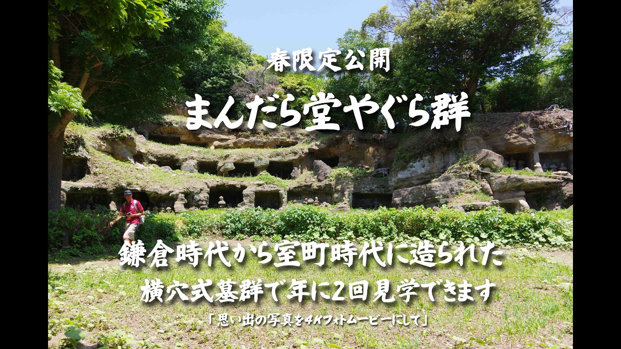 春限定公開「まんだら堂やぐら群」鎌倉時代から室町時代に造られた横穴