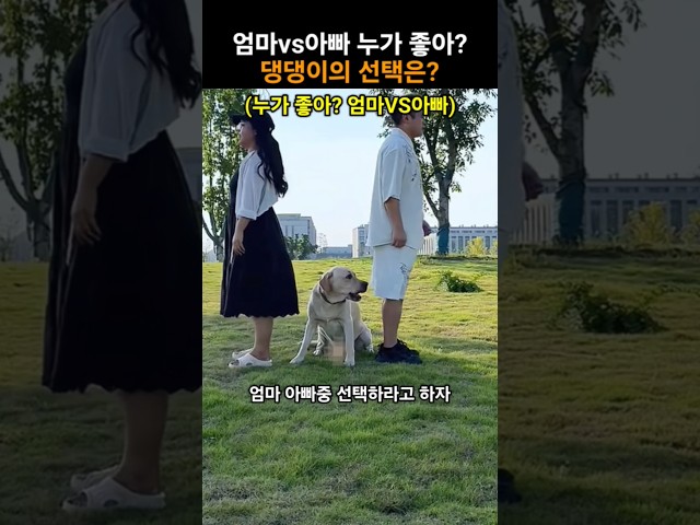 엄미vs아빠 누가 더 좋아? 댕댕이의 선택은?