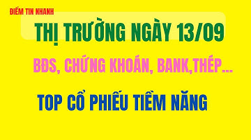 Chứng khoán hàng ngày: Nhận định thị trường ngày 13/09. Top cổ phiếu tiềm năng, tầm nhìn đầu tư