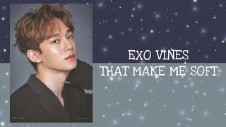 EXO vines that make me soft pt.2 screenshot 1