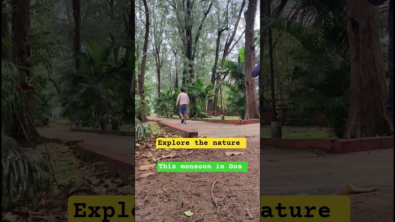 Exploring Goa's Monsoon Magic: Nature's Hidden Treasures