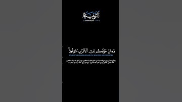 سورةالتوبةالآية 101 أنس المالك #قرآن #quran #guidance #ksa #uae#us #usa#uk #Europe #yemen #اليمن