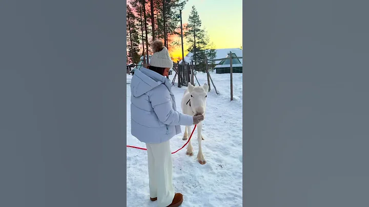 Lapland, Finland – 7-Day Itinerary 🇫🇮❄️ Finland might be the most magical winter destination on