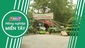 Toàn cảnh Nông nghiệp - 1/12/2025 | Nông nghiệp Miền Tây