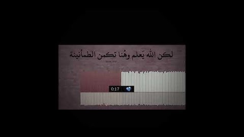 ارح سمعك ... تلاوة تريح القلب والعقل (تلاوة قرأن كريم ) 💛💜