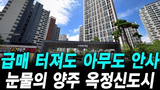 급매 터져도 아무도 안사 눈물의 양주 옥정신도시