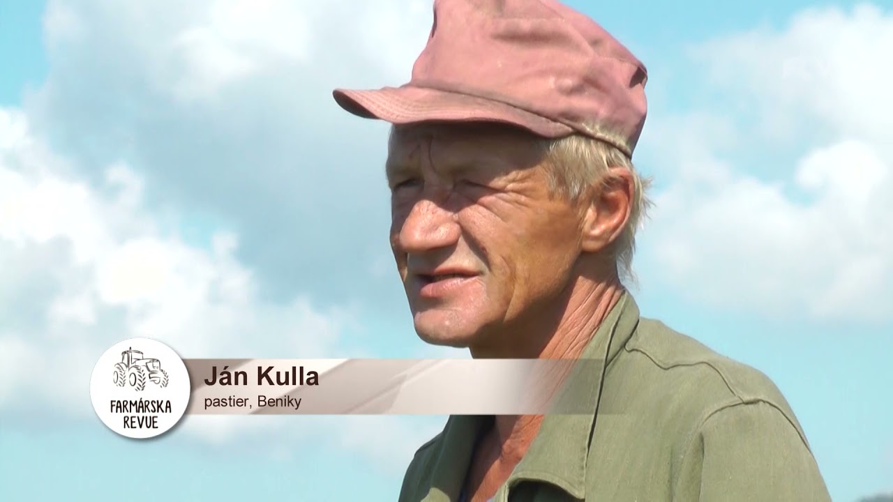 Ochrana oviec pred medveďmi