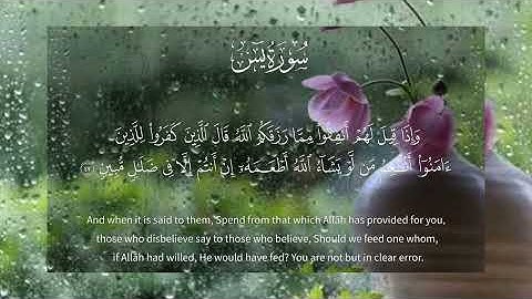 سورة يس بصوت خاشع يلامس القلب | تلاوة تهدئ الروح