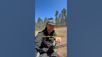 Unearthing History: 100-Year-Old Bullet Casing Found Metal Detecting in the Woods! #shorts #viral