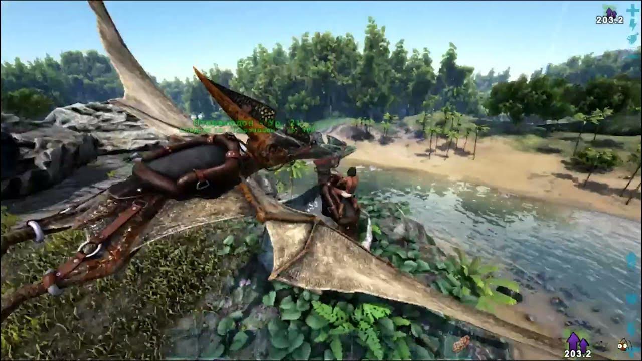 Как пройти арк. Геймпедия арк. Как пройти арк. Ark survival evolved обложка. Арк сурвайвал эволв дракон.