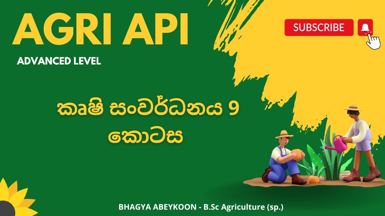 ශ්‍රී ලංකාවේ කෘෂි සංවර්ධනයට වැදගත් වන ආයතන | Agri Api - YouTube