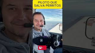 El piloto que vuela por el cielo salvando cachorros #animales #motivacion #love #inspirador #shorts