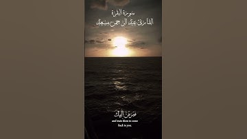سورة البقرة القارئ عبد الرحمن مسعد #قرآن #quran #سورة_البقرة #عبدالرحمن_مسعد #capcut #fyp #foryou