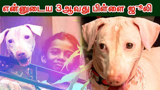 கல்யாணம் முதல் பீச் வரை போகாதே இடமே இல்லை...| Nanban