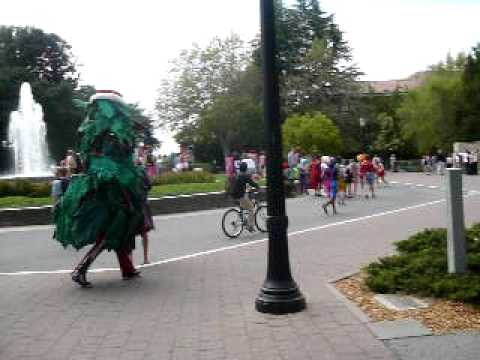 The Leland Stanford Junior University Marching Band stampede to the fountain to play.