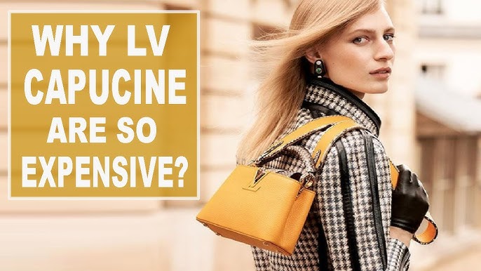 LOUIS VUITTON CAPUCINES  First impressions of the Capucines & what fits  inside the PM? 