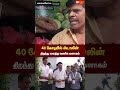 💦 திராவிட மாடல் அரசு 💦 #trending #vijay #tvk