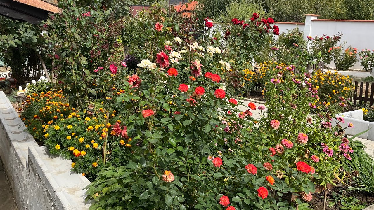 СЕПТЕМВРИ ПРИ МЕН Е ЮЛИ -14.09.2025