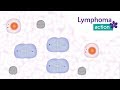 Lymphoma Action: How does chemotherapy work?