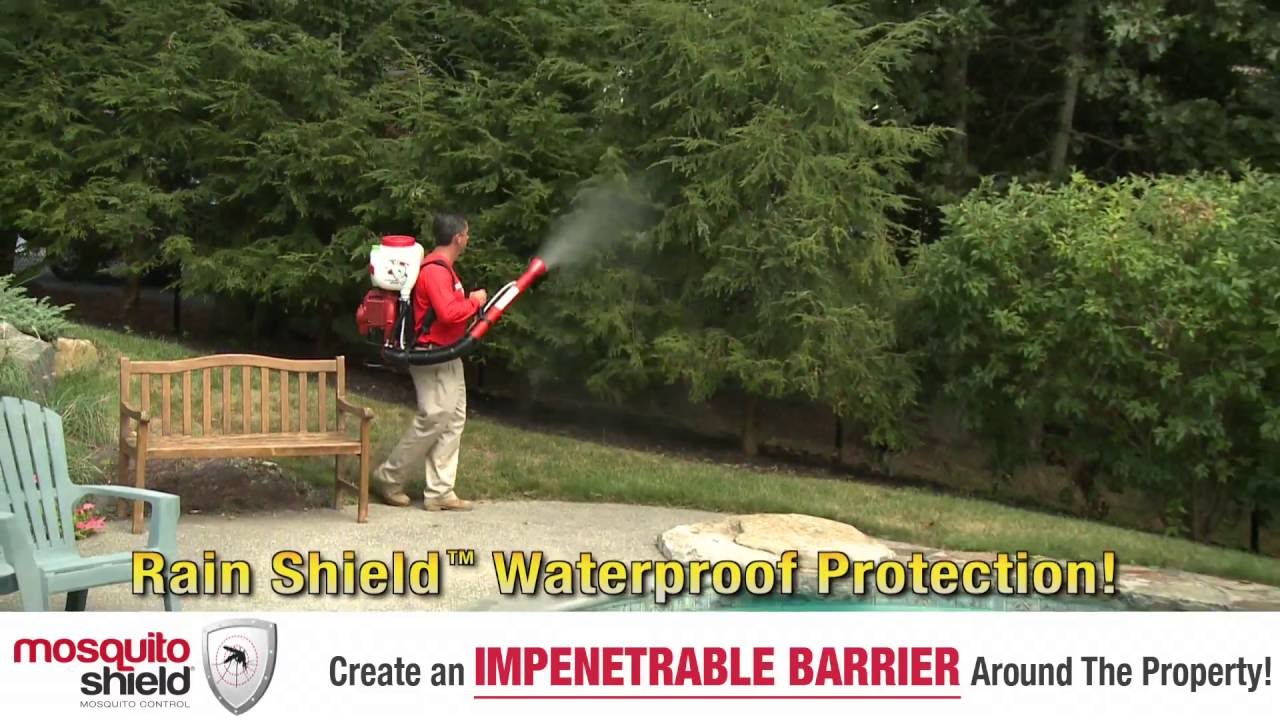 Mosquito Shield How It Works YouTube
