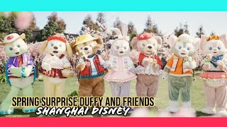 Shanghai Disney Spring Surprise Duffy and Friends "Are you ready? Let's go out and play!"