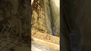 Man try to catch fish under dam for food for life #fishing #catchingfish #viral #video #fish