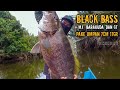Mancing Ikan Kakap Merah dan Black Bass Besar Pakai Umpan Jitu di Spot Mancing Muara Sungai Mahakam