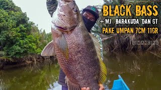 Mancing Ikan Kakap Merah Dan Black B Besar Pakai Umpan Jitu Di Spot Mancing Muara Sungai Mahakam