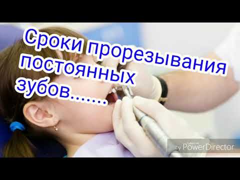 Сроки прорезывания постоянных зубов. Терапевтическая стоматология. Вопрос 14.