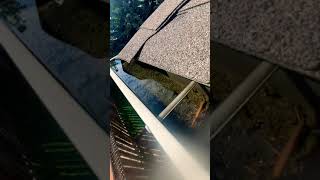 Unclogging Downspout #2