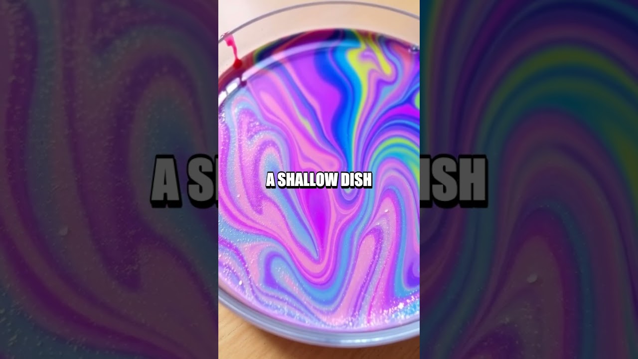 Exploring the Magic of Crystal Gardens