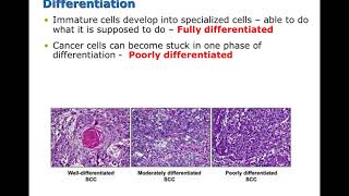 Pathophysiology Ch 6 Part 1
