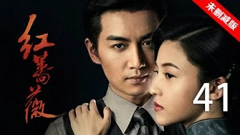 红蔷薇 41丨Wild Rose 41（主演:杨子姗,陈晓,毛林林,谭凯）【未删减版】 - 天天要闻