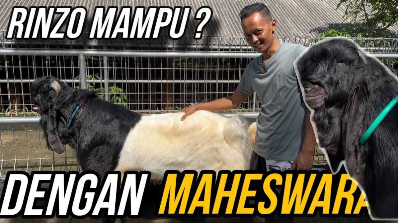 STATMENT KERAS KKTV‼️MARI KITA BUKTIKAN