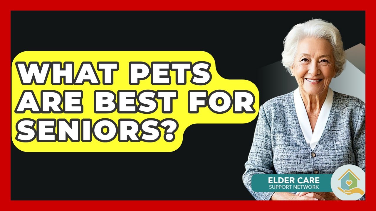 What Pets Are Best For Seniors? - Elder Care Support Network