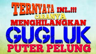 Cara Menghilangkan Guguk / Gugluk pada Burung Puter
