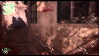 Modern Warfare 3 Blur effect test