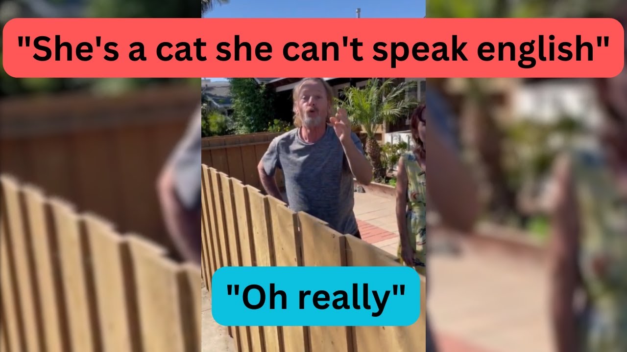 Delusional cat owner thinks cat can understand English