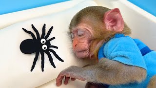 Monkey Baby Bon Bon eats watermelon ice cream and bathes with ducklings in the garden swimming pool by Animal HT 2,783,575 views 1 month ago 41 minutes