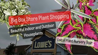 Big Box Store Plant Shopping Lowes Outdoor and Indoor and Local Nursery Plants Cheap Plant Prices