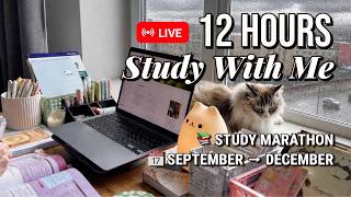 12-HOUR STUDY WITH ME 🔴 LIVE | Pomodoro 50/10 🌧️ Rain Ambience