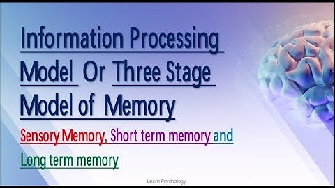 Information Processing Model/ Multistore-Model  Detailed lecture in Urdu/Hindi