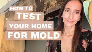 How to test your home for mold with an ERMI