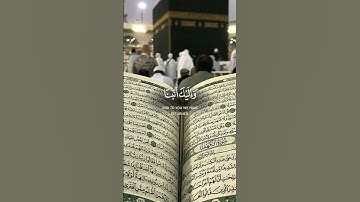 سورة الممتحنة #قران_كريم #اكسبلور #دويتو #duet #الرحمن #حالات_واتس #راحة_نفسية #تيك_توك #لايك