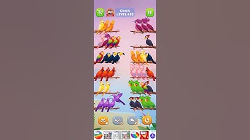#bird #sort #level 493