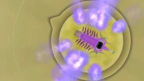 Spore video - Hidden Cell editor creations