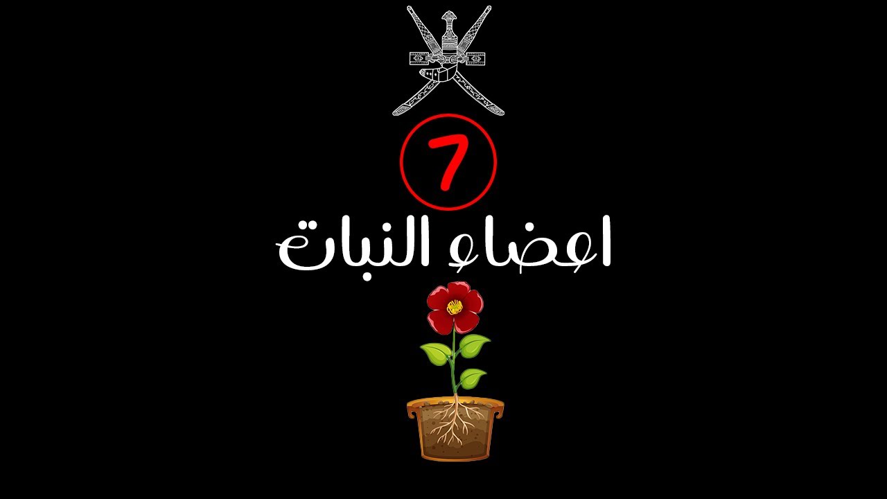 اعضاء النبات - الصف السابع - عُمان
