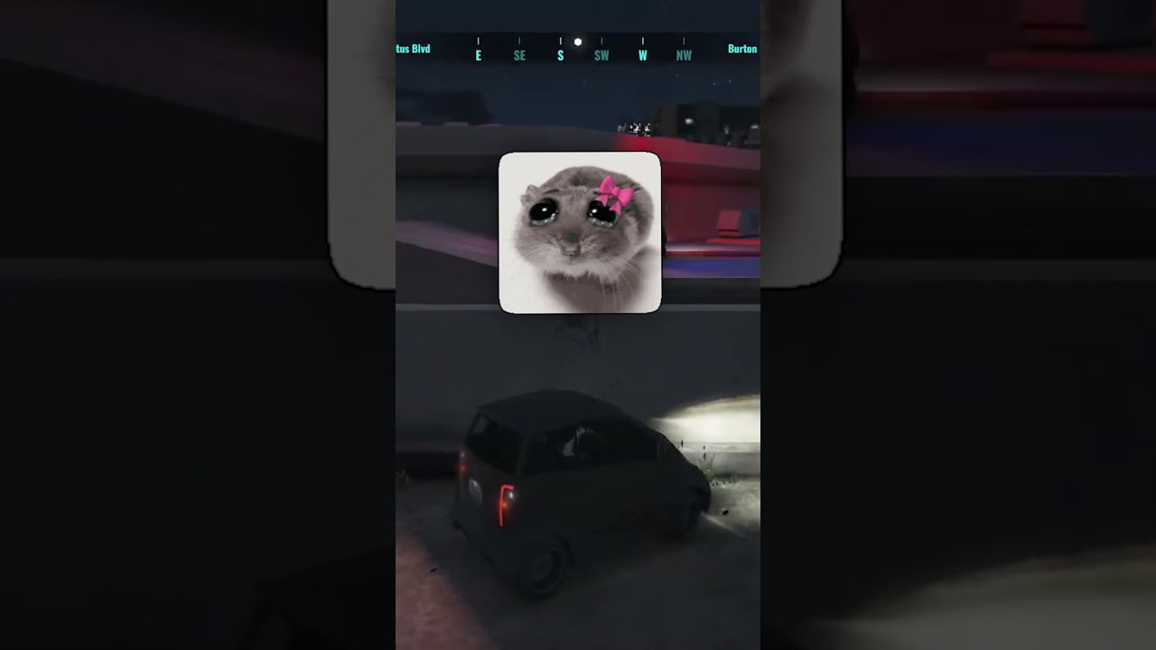 Chasing PD gone wrong with @snidhigaming15  :( #lifeinsoulcity #soulcitybyechorp #gtarp